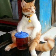 Pria_nakal1234