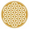 iroelifecore