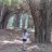 angeline